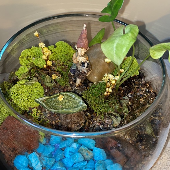 Terrarium - Picture 3 of 3